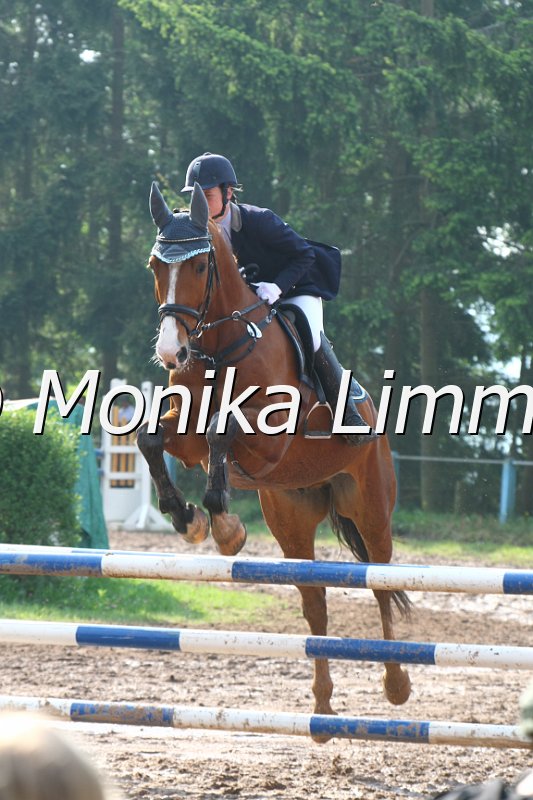 103M3018__Spring A.JPG